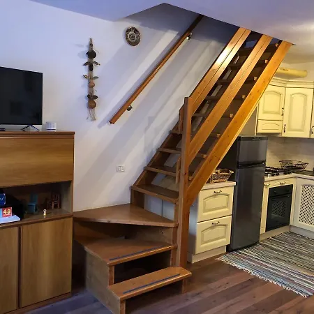 Apartment Tulipano